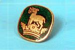 Lapel Badge